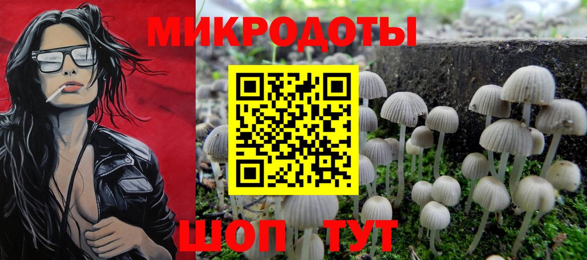 Тольятти  Галлюциногенные грибы Magic Shrooms  купить наркотики цена  Вход с VPN  Галлюциногенные грибы мицелий 